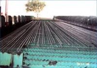 /album/photo-gallery-cooling-bed-rake-type-/images-15-jpg/